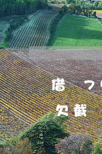 借唄7500元逾期圖片(借唄25000還欠截圖)
