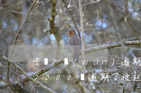 借唄7萬(wàn)逾期被起訴了(欠借唄97000錢逾期了,被起訴到法院訴訟了,怎么辦)