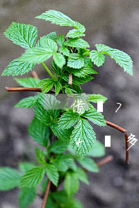 借唄7萬逾期三個月了(借唄逾期3萬多逾期4個多月了)