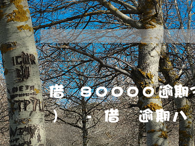 借唄80000逾期3年親身經(jīng)歷-借唄逾期八萬多久會(huì)被起訴