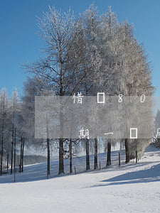 借唄8000逾期半個月(借唄12000逾期一個月會怎樣)