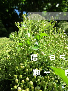 借唄8500元逾期200天（借唄500逾期一個月還多少）