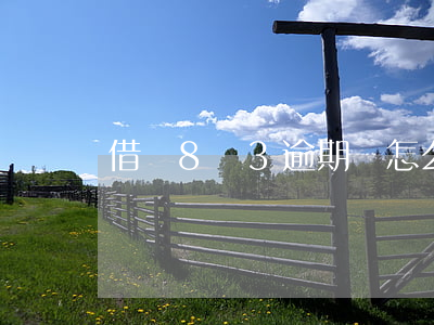 借唄8萬3逾期會怎么樣(借唄逾期7萬多)