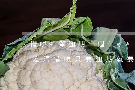 借唄9筆逾期一個(gè)月內(nèi)還清(借唄只要逾期就要一次還完)