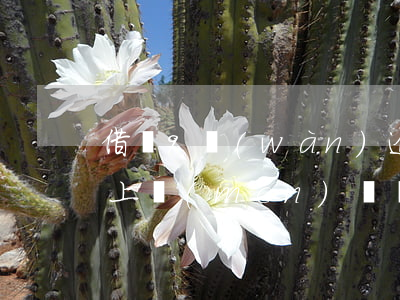 借唄9萬(wàn)逾期是否會(huì)上門(mén)(螞蟻借唄逾期上門(mén)合法嗎)