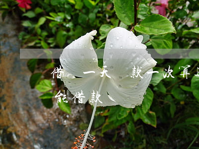 借唄一天還款一次算逾期嗎(借唄逾期一天還能借款嗎?)
