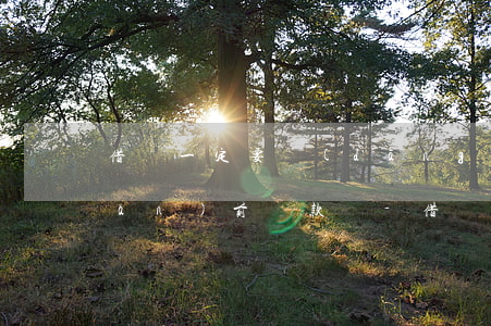 借唄一定要當(dāng)天12點(diǎn)前還款嗎-借唄一定要當(dāng)天12點(diǎn)前還款嗎為什么