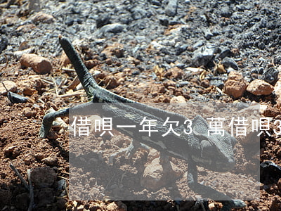 借唄一年欠3萬(借唄3萬多兩年沒還)