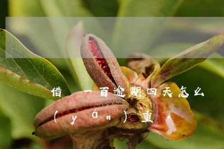 借唄一百逾期四天怎么辦(借唄逾期十幾天嚴(yán)重嗎)