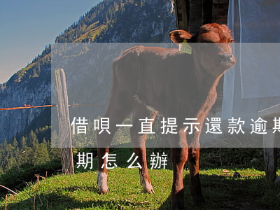 借唄一直提示還款逾期(借唄一直提示還款逾期怎么辦)