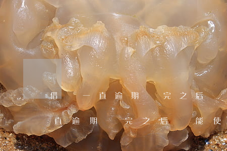 借唄一直逾期還完之后還能使用嗎-借唄一直逾期還完之后還能使用嗎