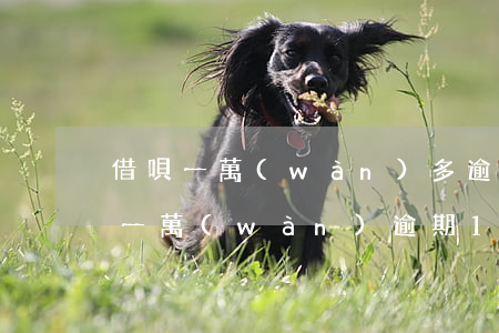 借唄一萬(wàn)多逾期160多天（借唄一萬(wàn)逾期1個(gè)月還多少）