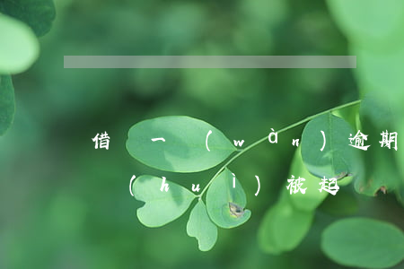 借唄一萬(wàn)逾期了兩個(gè)月會(huì)被起訴嗎-借唄一萬(wàn)逾期了兩個(gè)月會(huì)被起訴嗎知乎