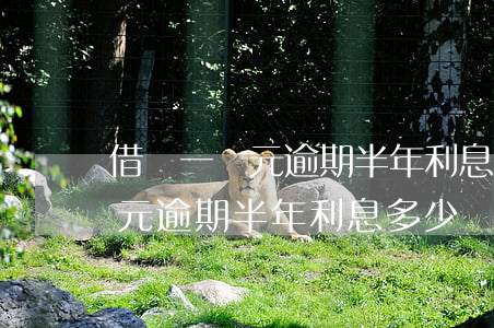 借唄一萬元逾期半年利息多少錢-借唄一萬元逾期半年利息多少錢啊