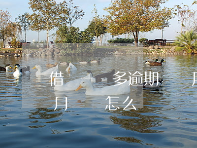 借唄一萬多逾期兩個月沒還(借唄逾期一個多月沒還怎么辦)