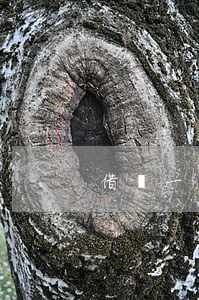 借唄一萬逾期10天利息(借唄逾期了怎么辦)