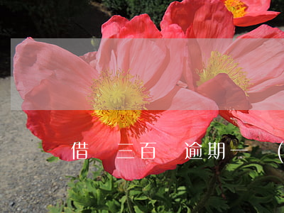 借唄三百塊逾期一個(gè)月利息多少-