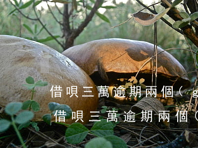 借唄三萬逾期兩個(gè)月利息是多少-借唄三萬逾期兩個(gè)月利息是多少錢