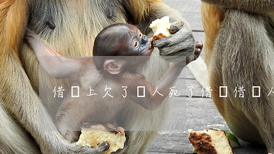 借唄上欠了錢人死了(借唄借錢人死了)