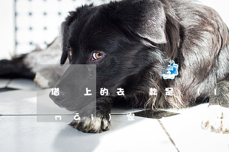 借唄上的去還款是藍(lán)色的是買(mǎi)家嗎-借唄上的去還款是藍(lán)色的是買(mǎi)家嗎安全嗎