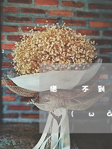 借唄不到兩萬(wàn)逾期一年了(借唄一萬(wàn)逾期了兩個(gè)月,會(huì)被起訴嗎)
