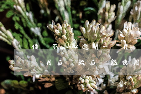 借唄不小心逾期一個月會怎么樣(借唄逾期一個月后還款后還能使用嗎?)