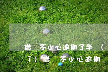 借唄不小心逾期了半個(gè)小時(shí)(借唄不小心逾期兩天)