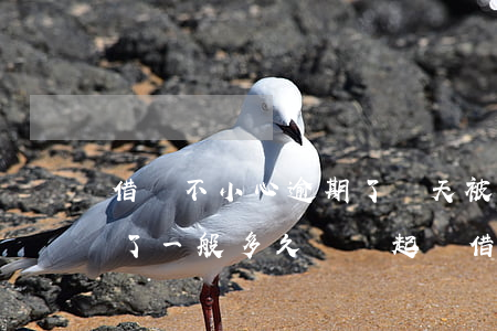 借唄不小心逾期了幾天被關(guān)閉了一般多久會開起來（借唄逾期關(guān)閉多久才能恢復(fù)）