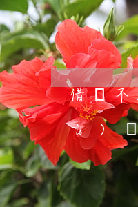 借唄不能借錢(qián)了怎么恢復(fù)沒(méi)有逾期 借唄沒(méi)逾期不能用了 什么時(shí)候能恢復(fù)