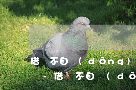 借唄不自動(dòng)扣款都算提前還款嗎-借唄不自動(dòng)扣款都算提前還款嗎怎么辦