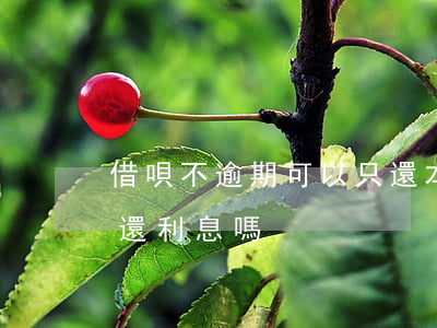 借唄不逾期可以只還本金嗎(借唄逾期可以不還利息嗎)
