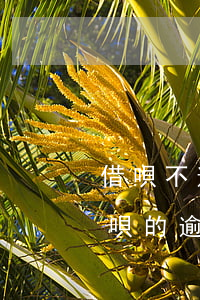 借唄不逾期會不會產(chǎn)生罰息(借唄的逾期利息和罰息是受法律保護的嗎)