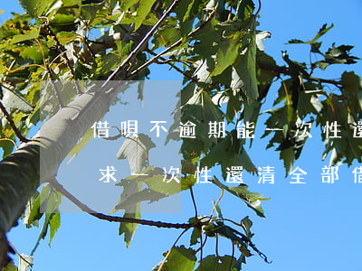 借唄不逾期能一次性還款嗎(借唄逾期會被要求一次性還清全部借款嗎)