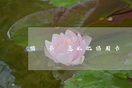 借唄不還怎么把信用卡銷戶(借唄注銷怎么注銷)