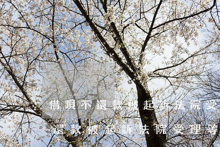 借唄不還款被起訴法院受理等多久-借唄不還款被起訴法院受理等多久開庭