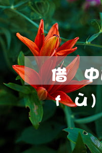 借唄中途關(guān)閉要多久才恢復(fù)沒(méi)逾期-借唄中途關(guān)閉要多久才恢復(fù)沒(méi)逾期記錄