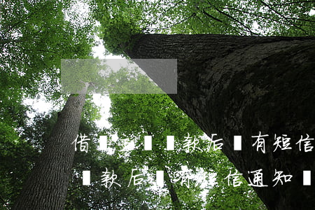 借唄主動還款后會有短信通知嗎-借唄主動還款后會有短信通知嗎安全嗎