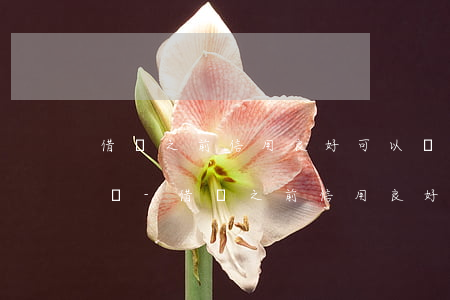 借唄之前信用良好可以協(xié)商還款嗎-借唄之前信用良好可以協(xié)商還款嗎
