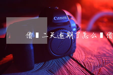 借唄二天逾期了怎么辦（借唄二天逾期了）