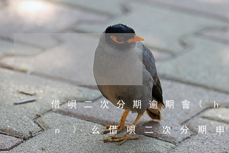 借唄二次分期逾期會(huì)上門(mén)么(借唄二次分期申請(qǐng)成功催債說(shuō)不能分期)