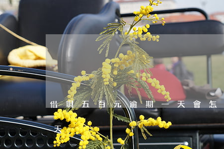 借唄五百元逾期一天會怎樣(借唄逾期一百多天)