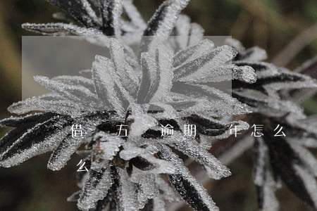 借唄五萬逾期一年怎么辦(借唄逾期500怎么辦)