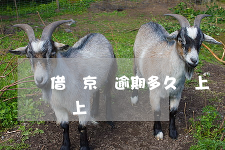 借唄京東逾期多久會上門(借唄京東逾期多久會上門)