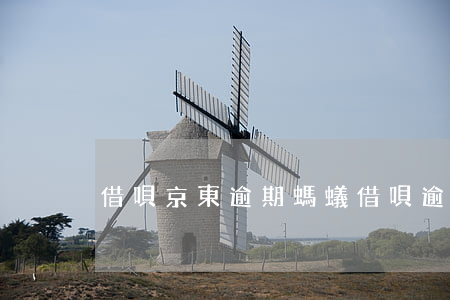 借唄京東逾期(螞蟻借唄逾期)