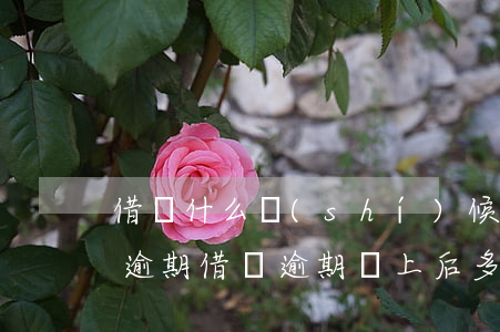 借唄什么時(shí)候還不會(huì)逾期(借唄逾期還上后多久還能借款)