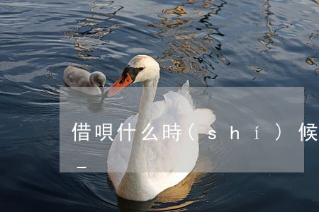 借唄什么時(shí)候還款不算提前還款-
