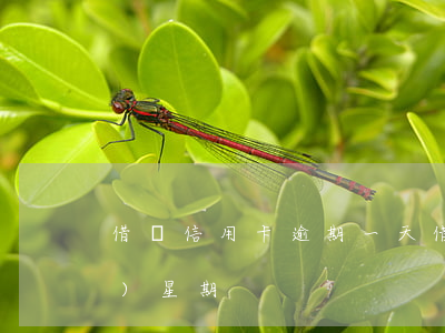 借唄信用卡逾期一天(借唄逾期了一個(gè)星期)