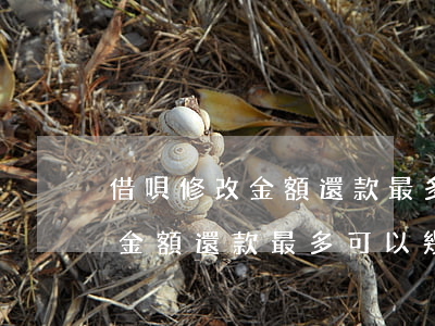 借唄修改金額還款最多可以幾次-借唄修改金額還款最多可以幾次啊