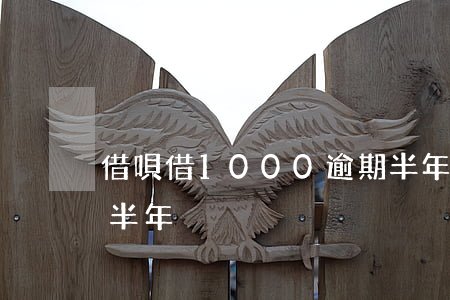借唄借1000逾期半年(借唄欠款一萬逾期半年)