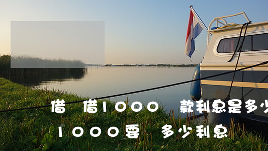 借唄借1000還款利息是多少-從借唄借1000要還多少利息
